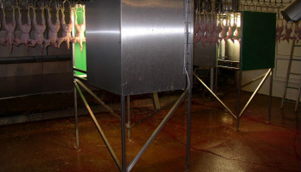 Systems for Poultry